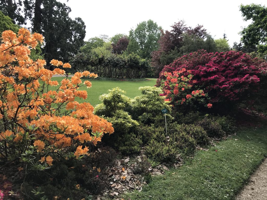 “Here, even footsteps seem to respect the silence.”